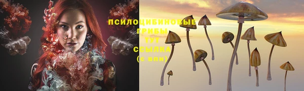 прущие крисы Балахна