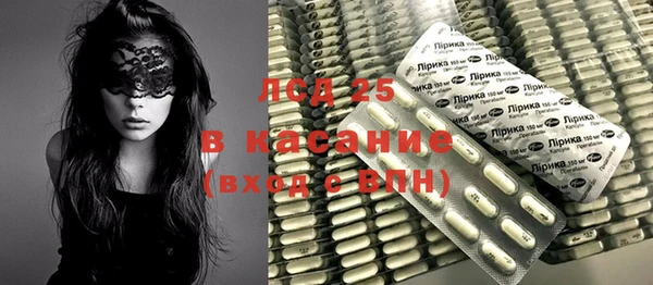 шишки Нязепетровск