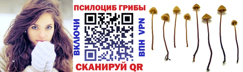Галлюциногенные грибы Magic Shrooms  Бахчисарай 
